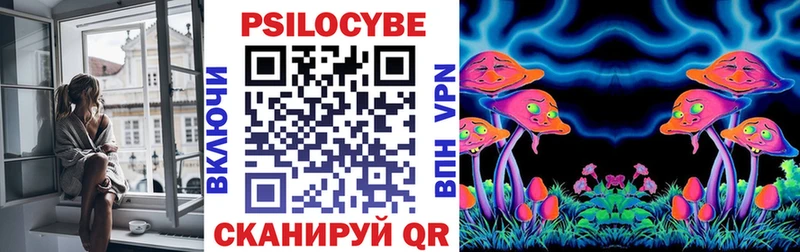 Галлюциногенные грибы Psilocybine cubensis  Кстово 