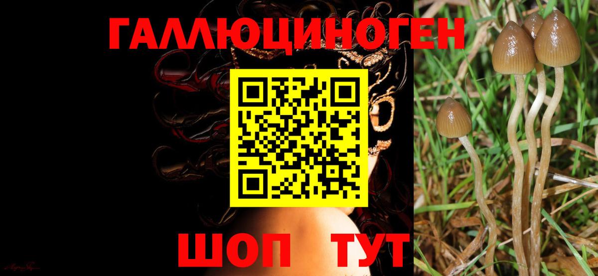 Кстово  Галлюциногенные грибы ЛСД  Вход с VPN 