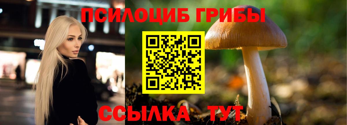 Галлюциногенные грибы GOLDEN TEACHER Кстово